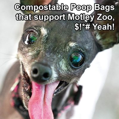 La borsa della poppa ha riciclato la borsa biodegradabile 2020 della poppa del cane del profumo delle borse di cacca del cagnolino dei prodotti dell'animale domestico 9x13